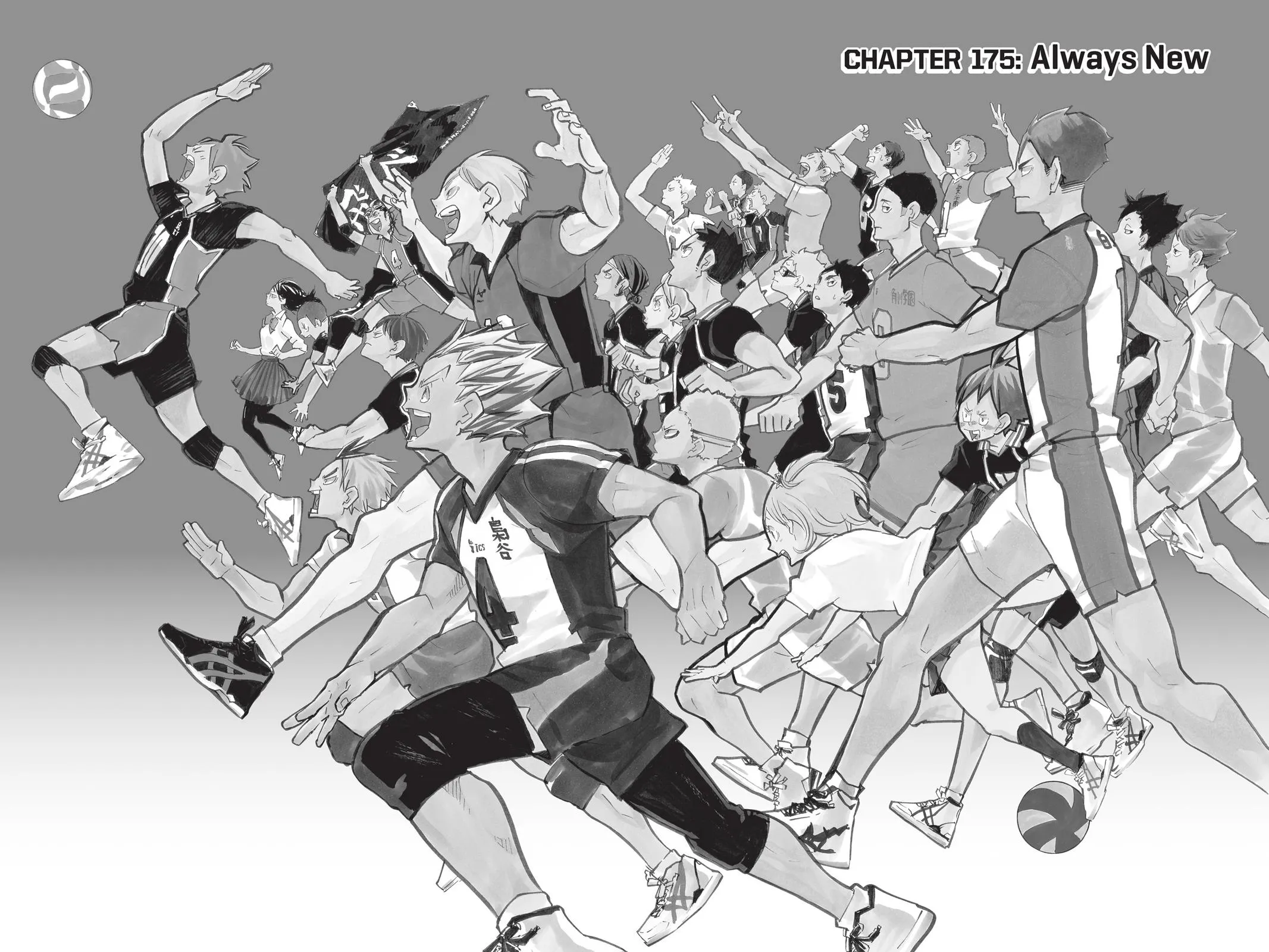 Read Haikyu!! EN Manga Online