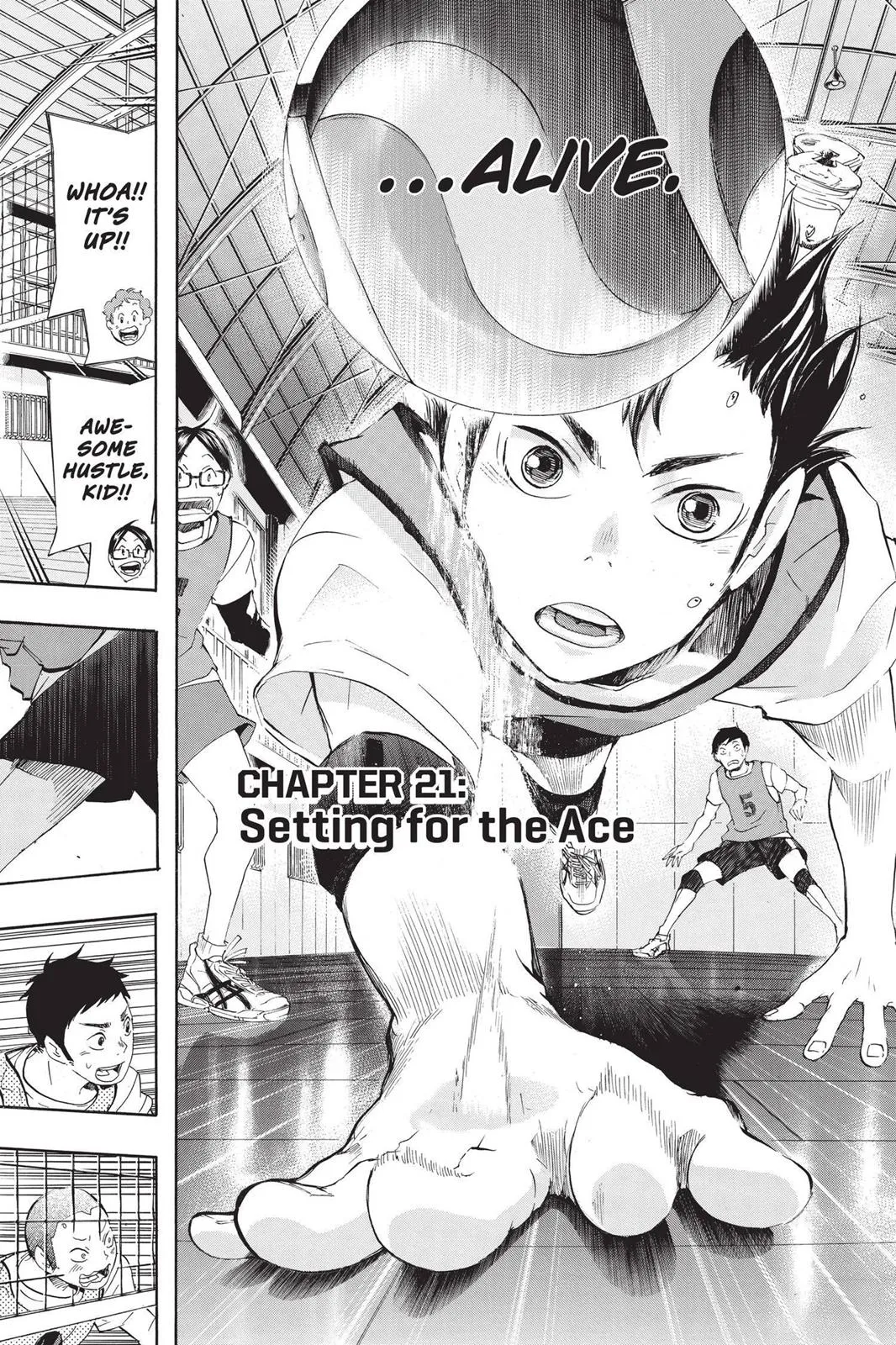 Read Haikyu!! EN Manga Online