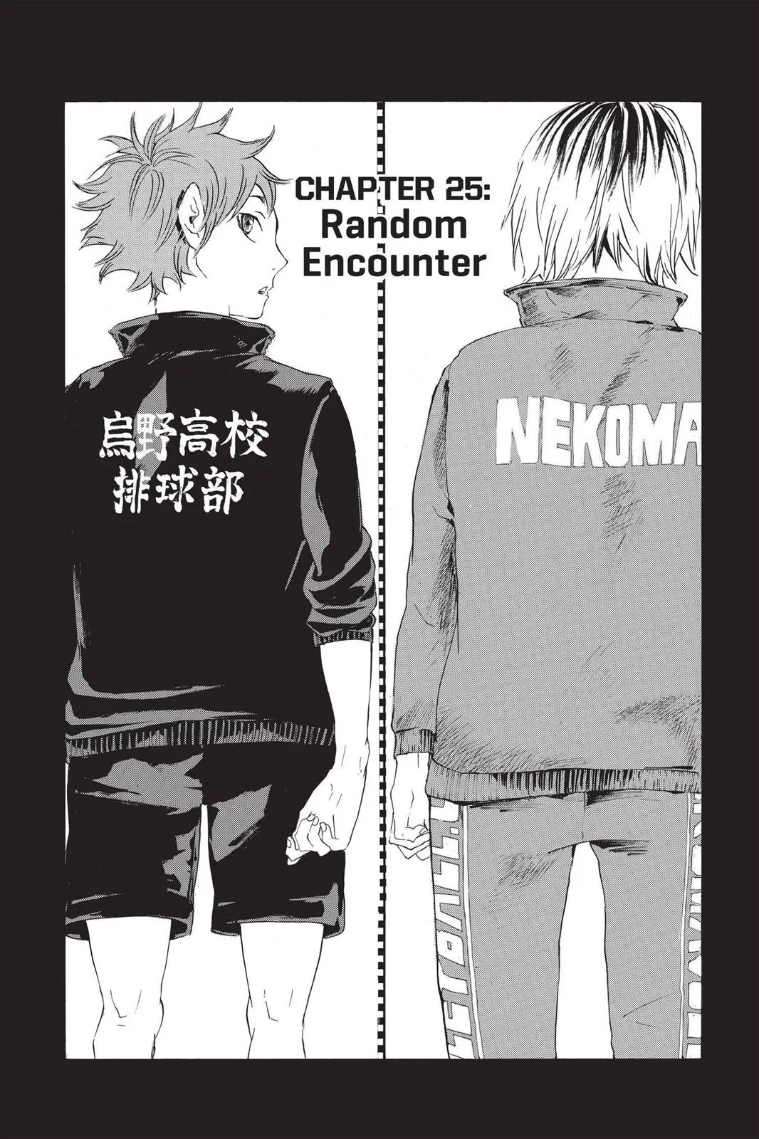 Read Haikyu!! EN Manga Online