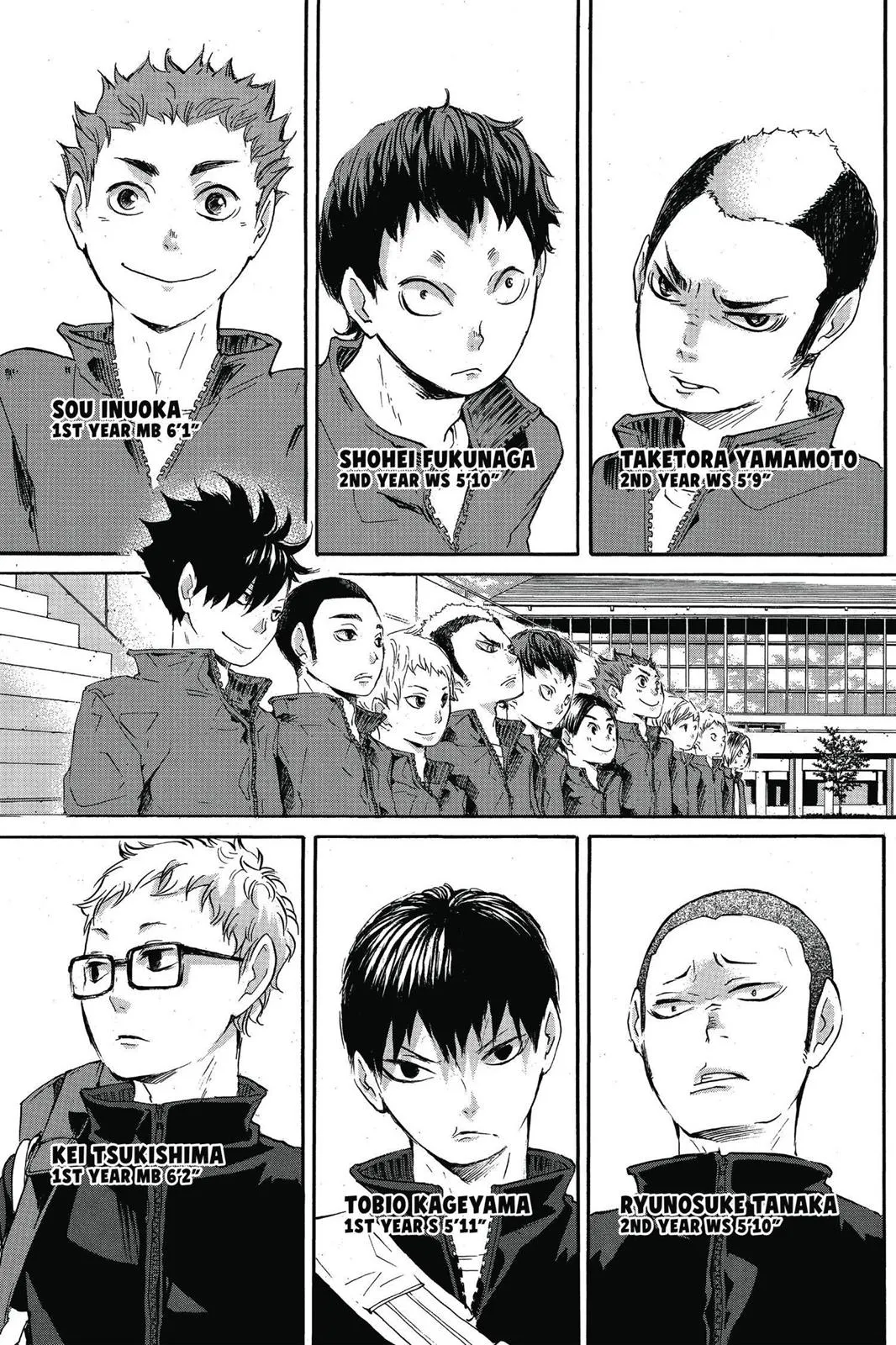 Read Haikyu!! EN Manga Online