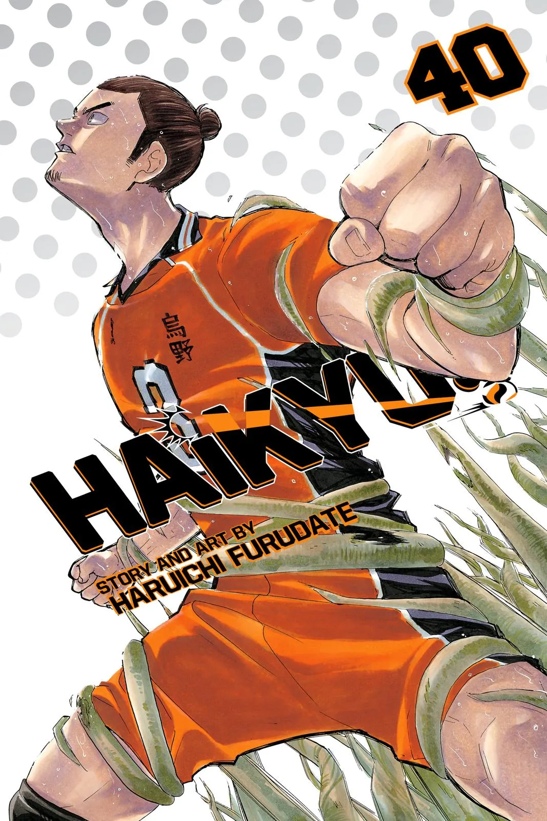Read Haikyu!! EN Manga Online