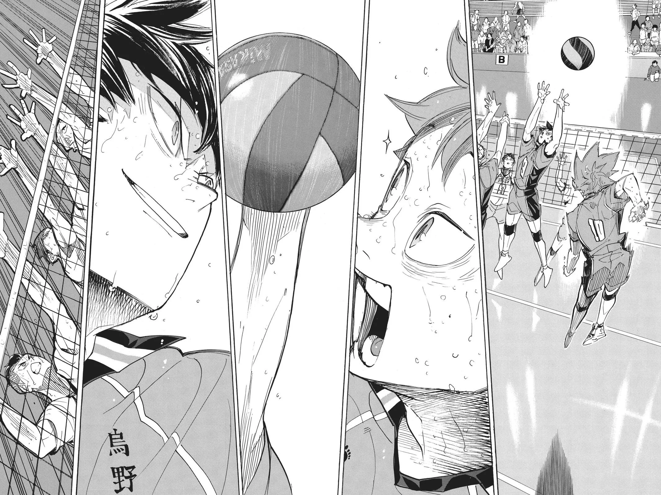 Read Haikyu!! EN Manga Online