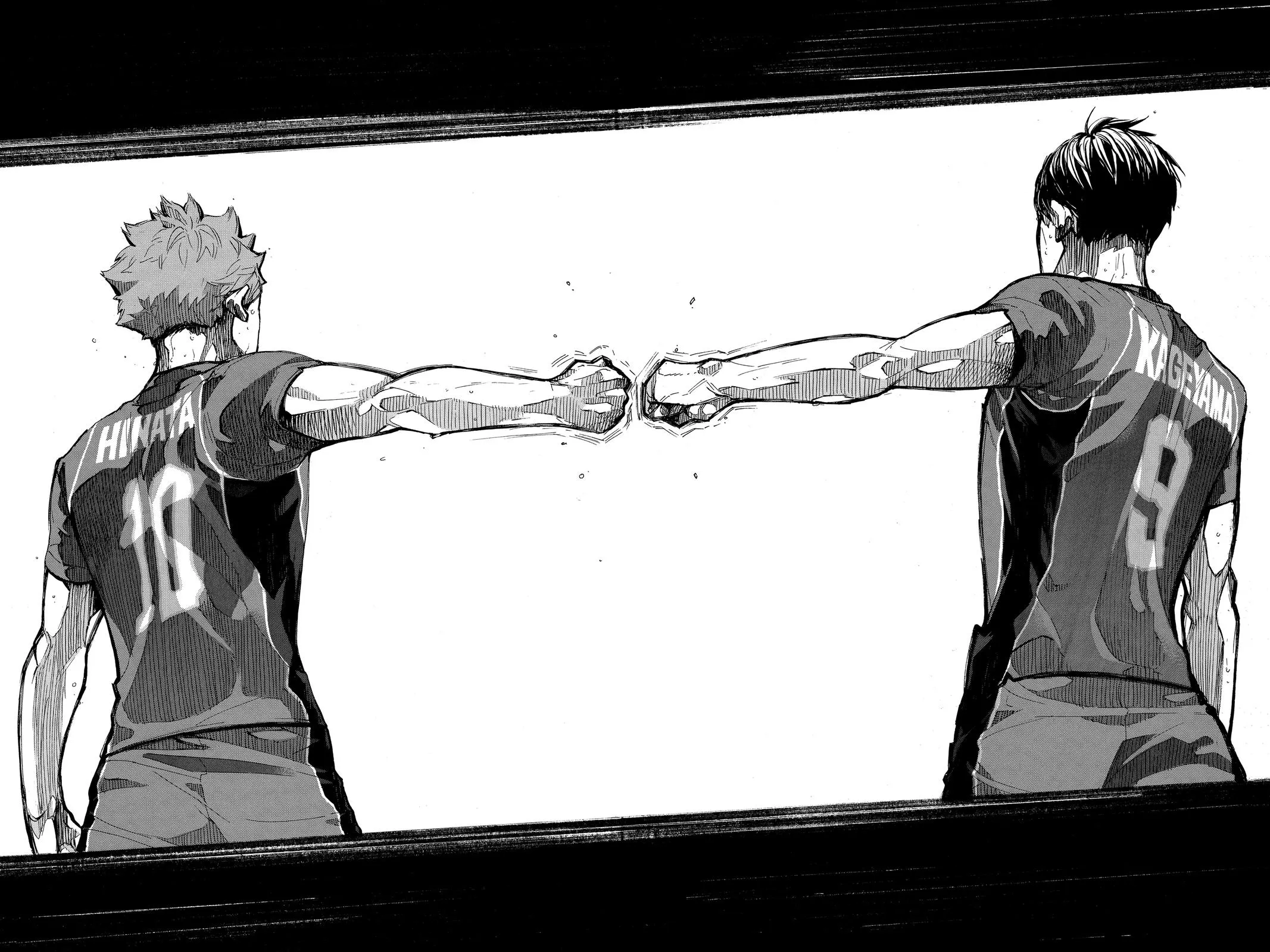 Read Haikyu!! EN Manga Online