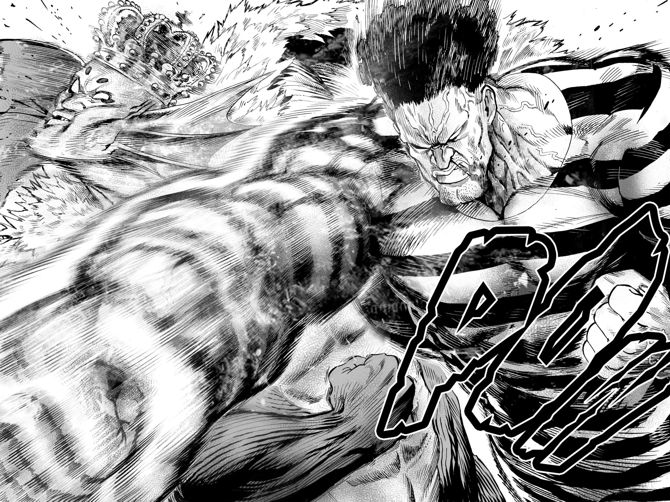 Read One-Punch Man EN Manga Online