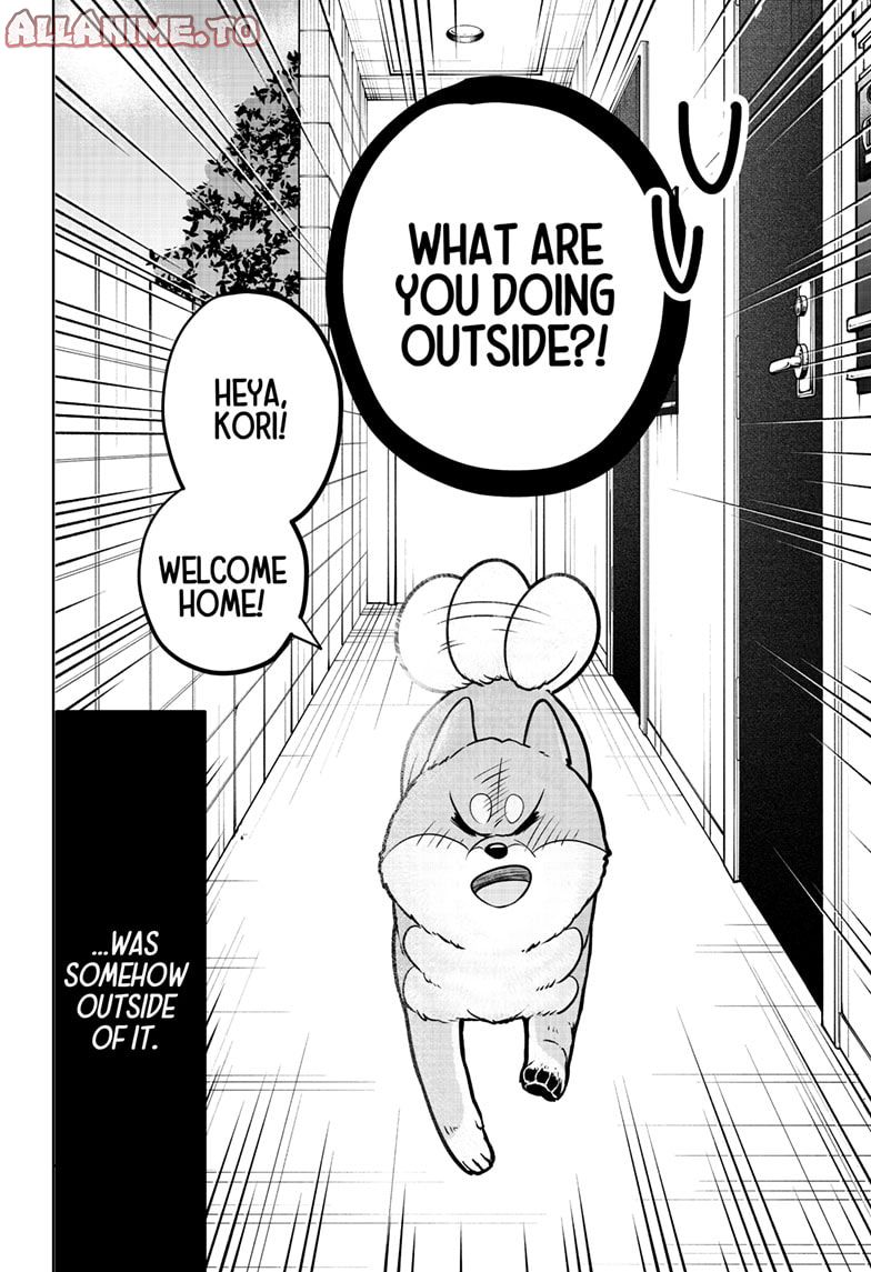 Read Shiba Inu Rooms EN Manga Online