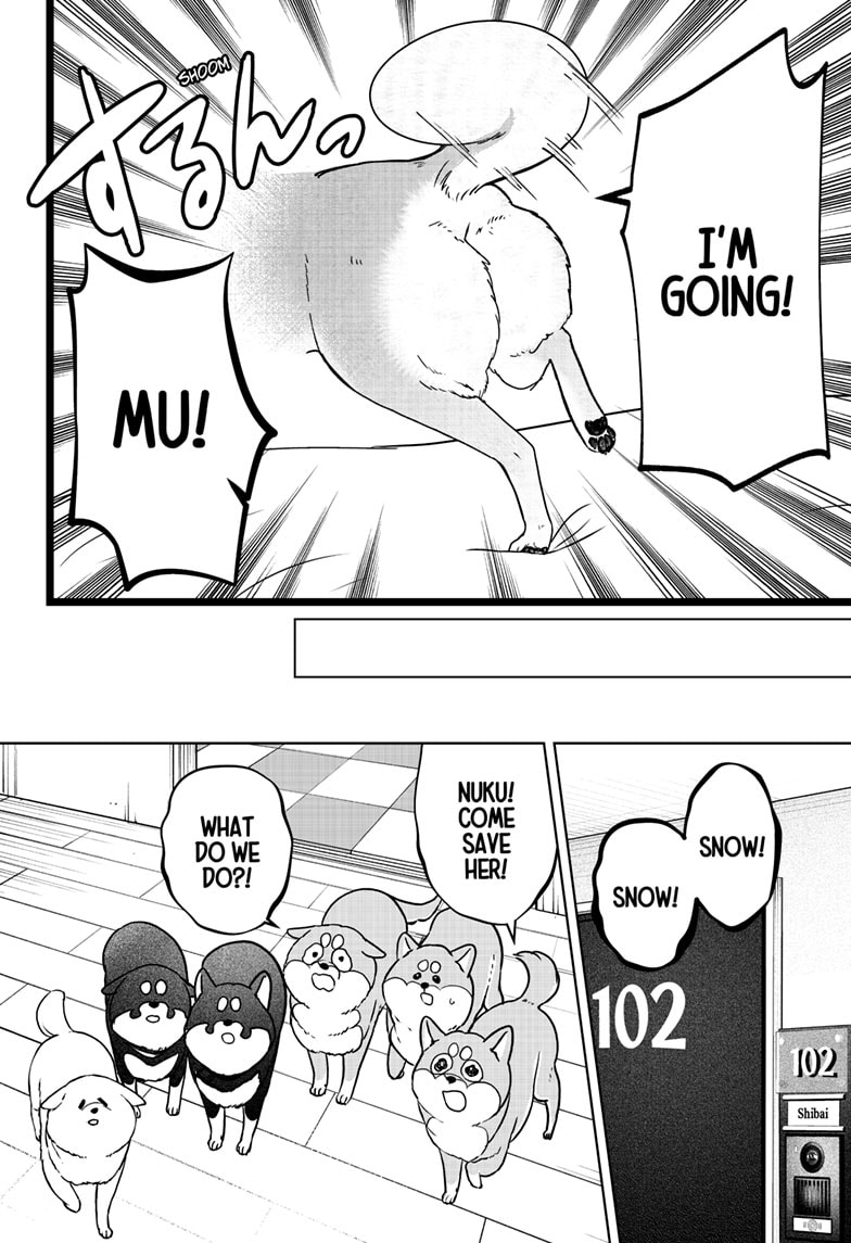Read Shiba Inu Rooms EN Manga Online
