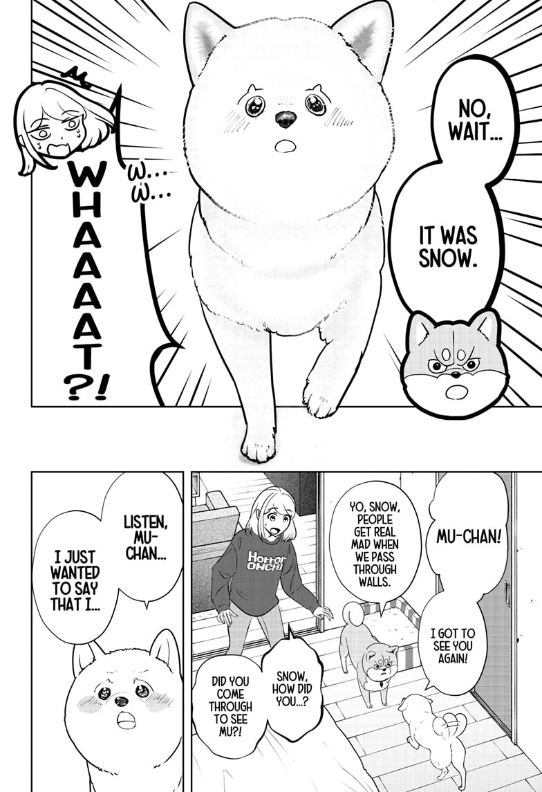 Read Shiba Inu Rooms EN Manga Online