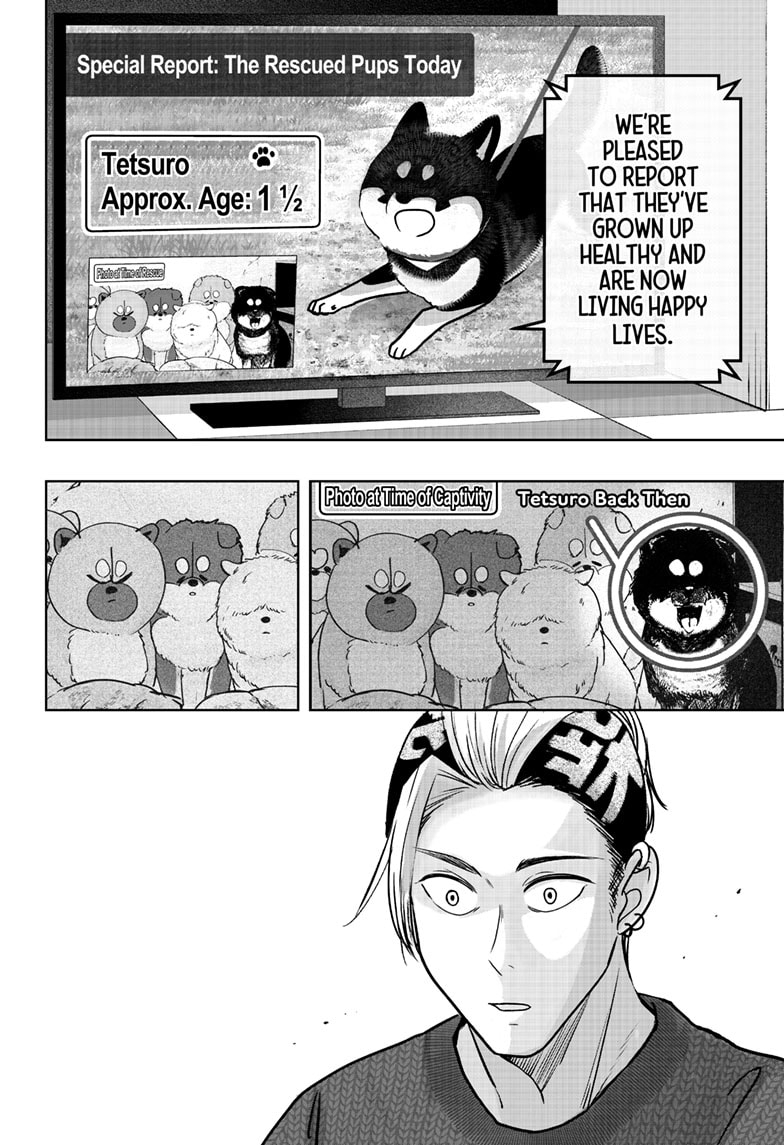 Read Shiba Inu Rooms EN Manga Online