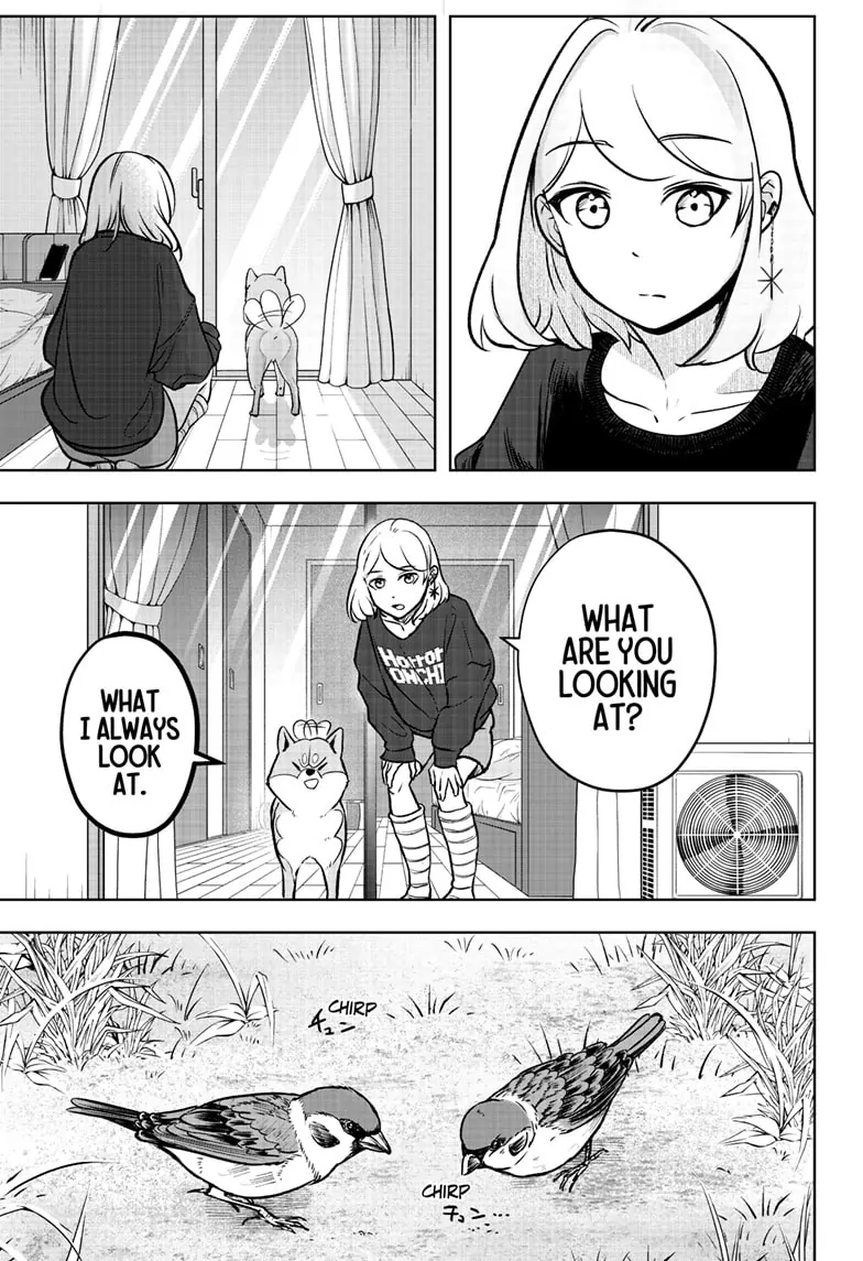 Read Shiba Inu Rooms EN Manga Online