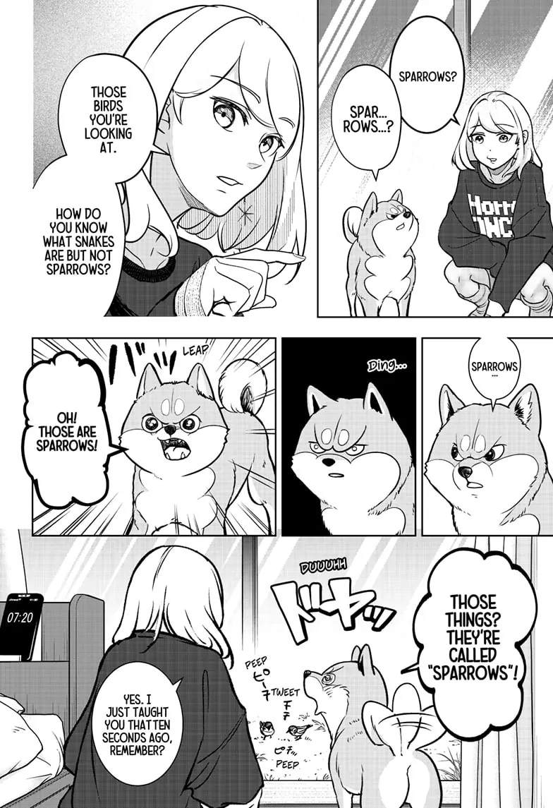 Read Shiba Inu Rooms EN Manga Online