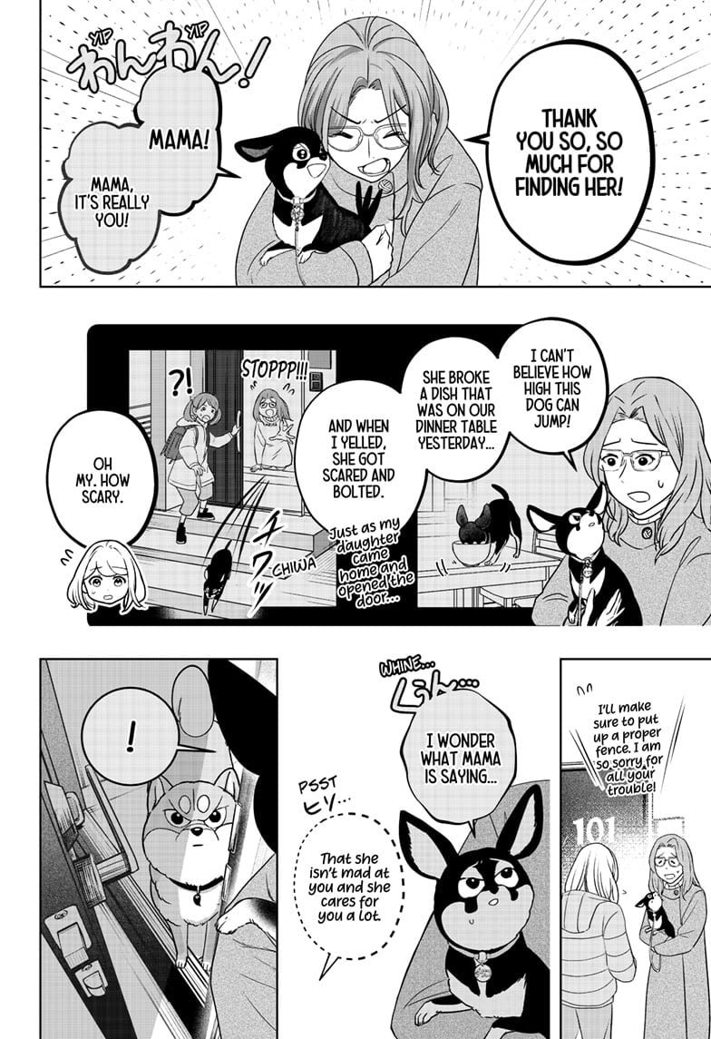 Read Shiba Inu Rooms EN Manga Online