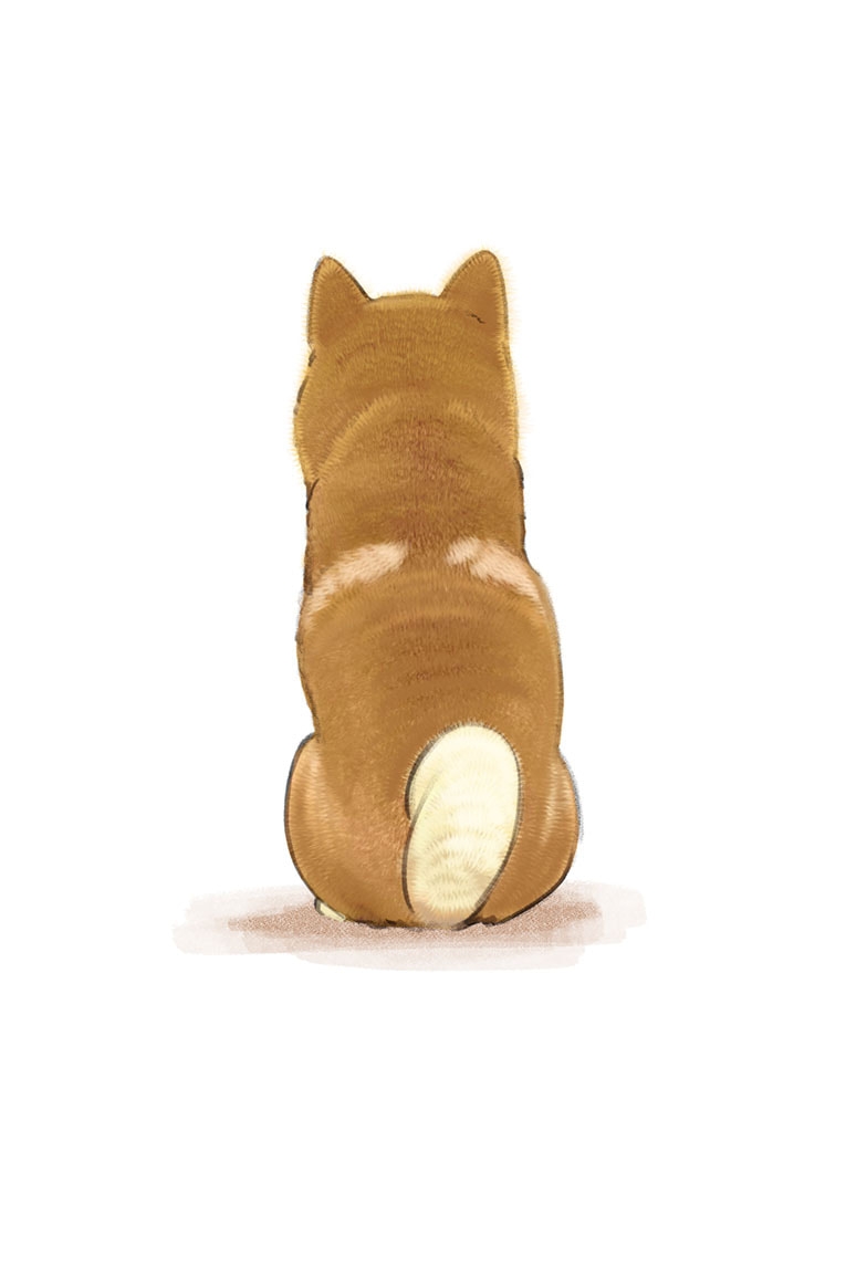 Read Shiba Inu Rooms EN Manga Online