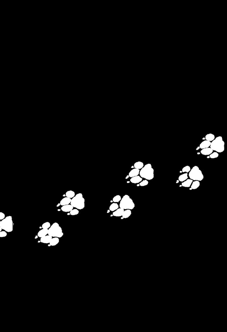 Read Shiba Inu Rooms EN Manga Online