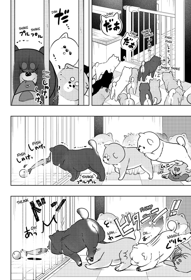 Read Shiba Inu Rooms EN Manga Online