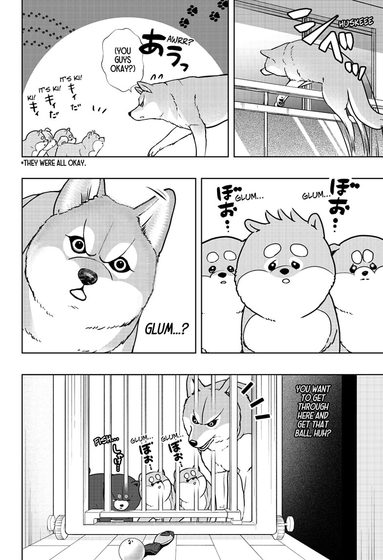 Read Shiba Inu Rooms EN Manga Online