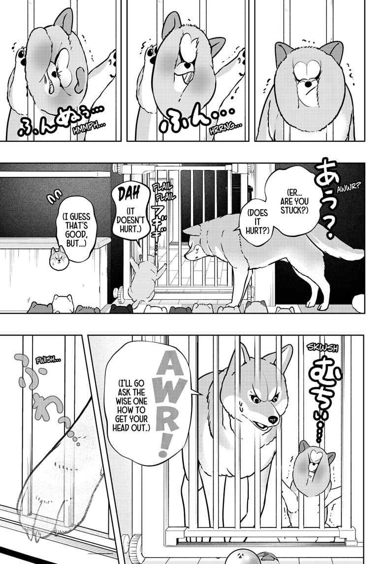 Read Shiba Inu Rooms EN Manga Online