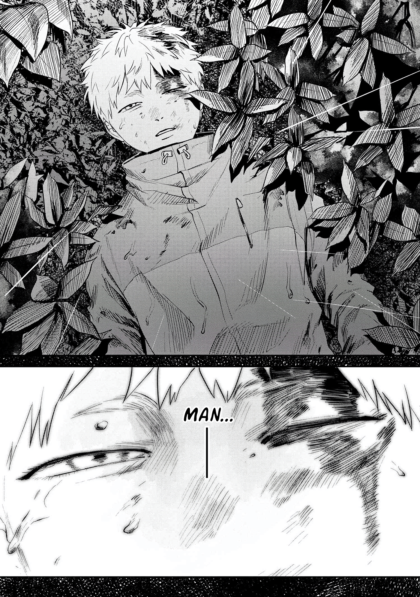 Read The Summer Hikaru Died EN Manga Online