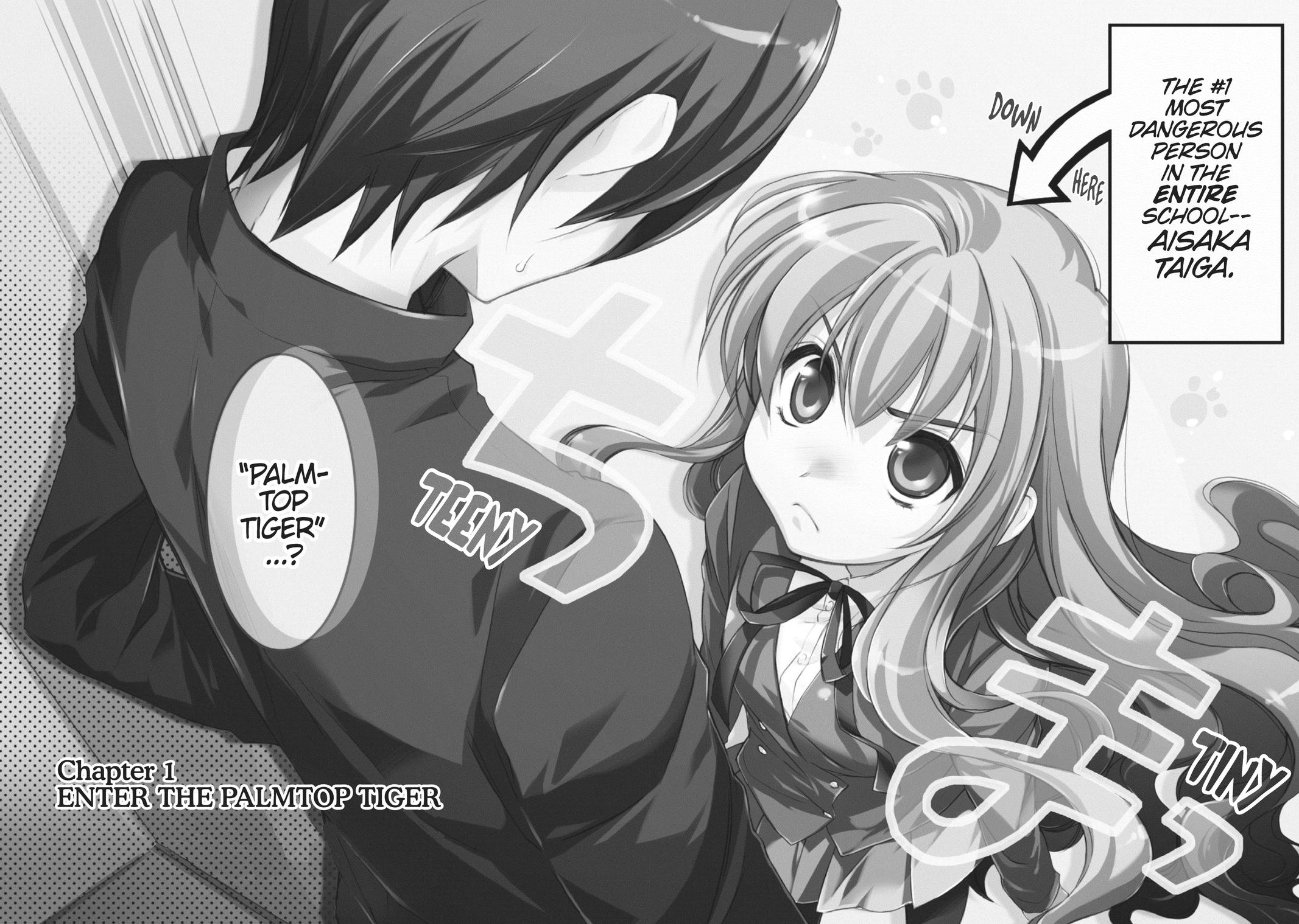 Read Toradora EN Manga Online