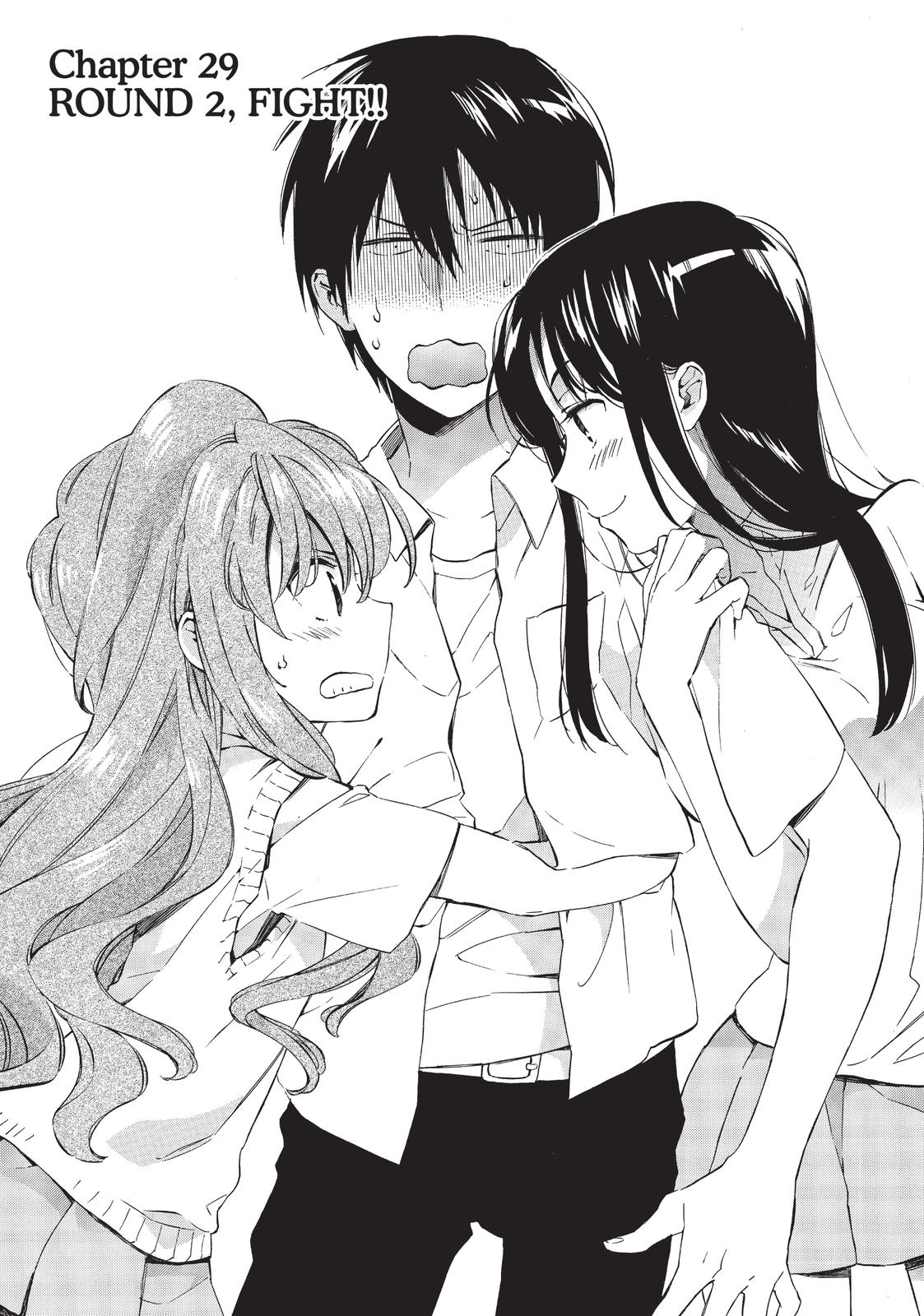 Read Toradora EN Manga Online