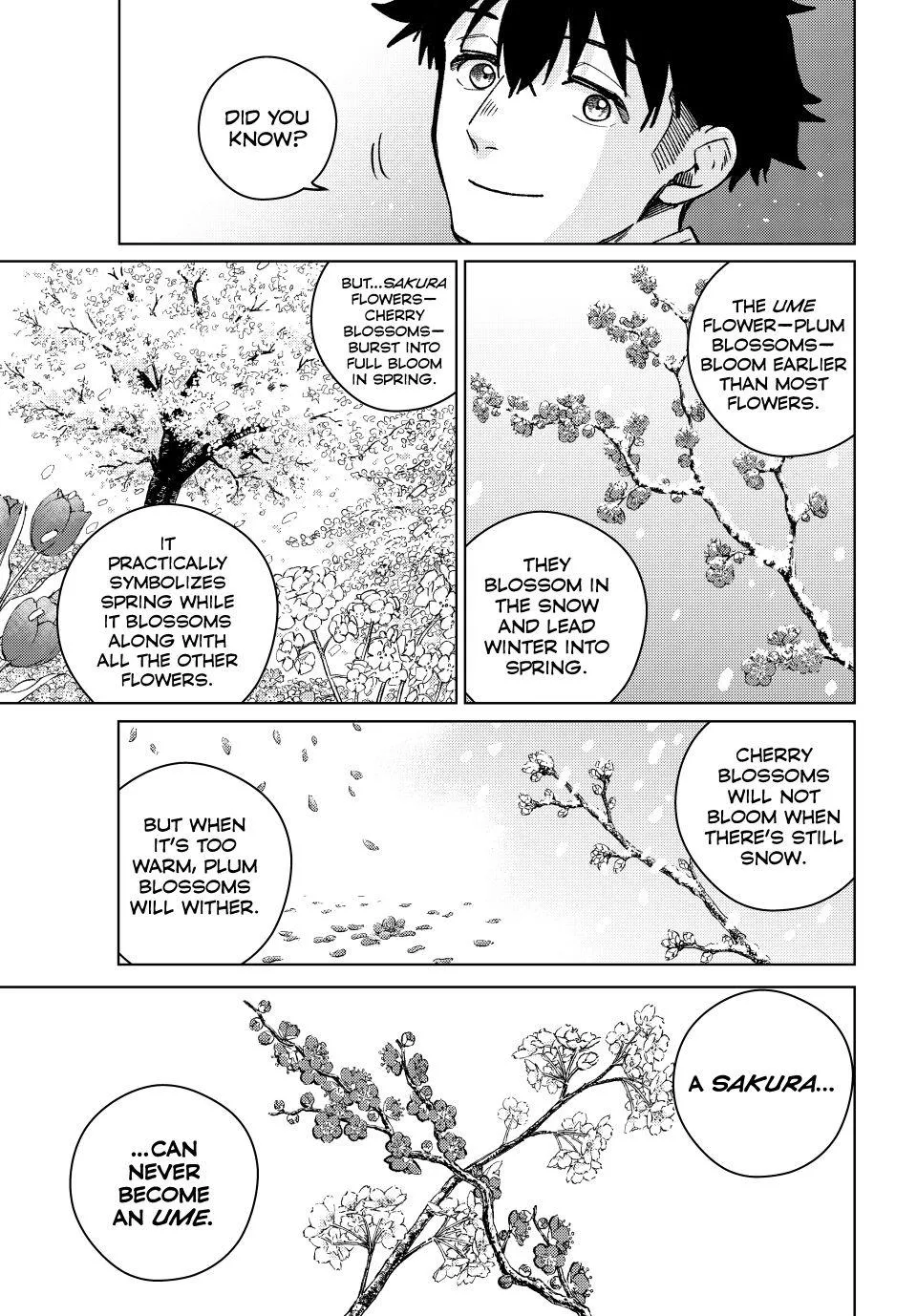 Read Wind Breaker (NII Satoru) EN Manga Online
