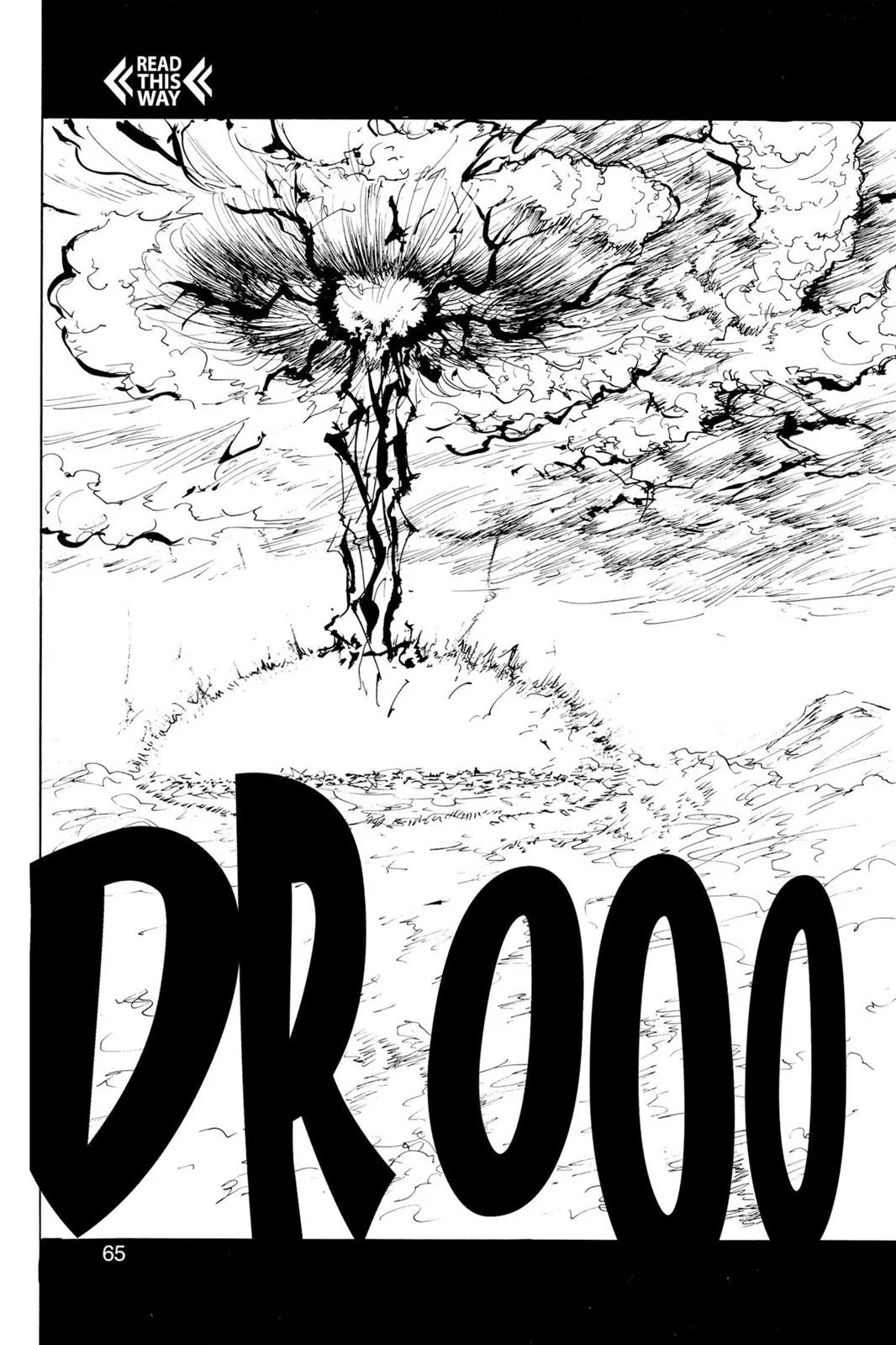 Read Yu Yu Hakusho EN Manga Online