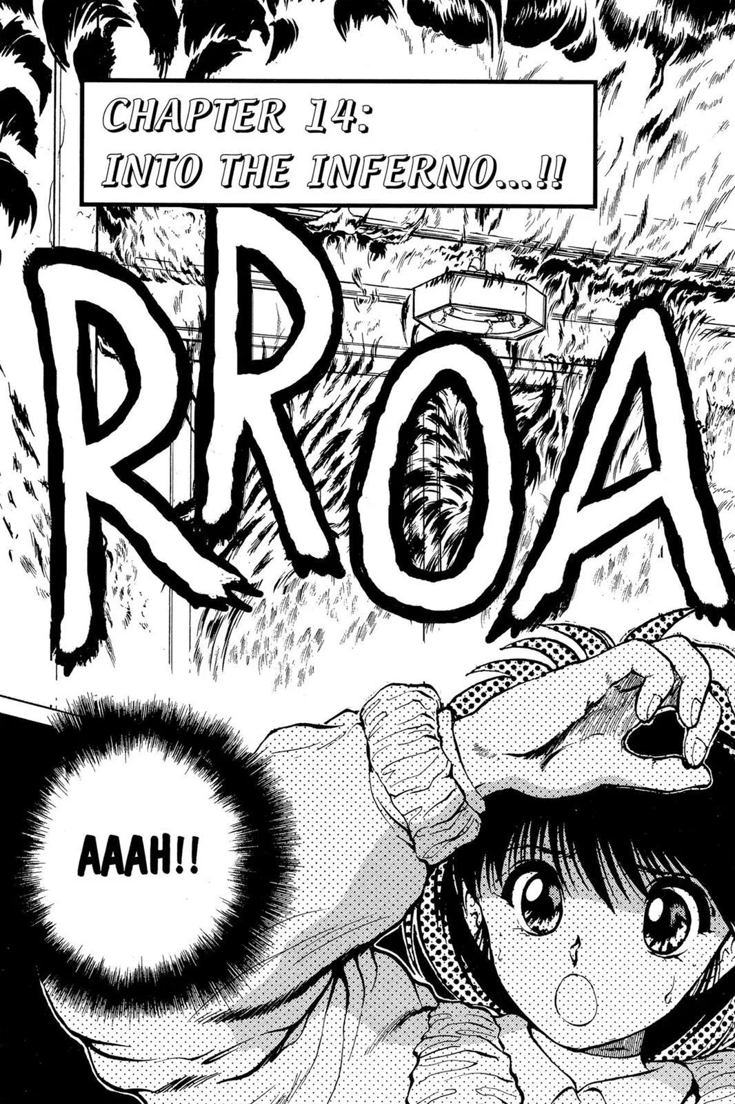 Read Yu Yu Hakusho EN Manga Online