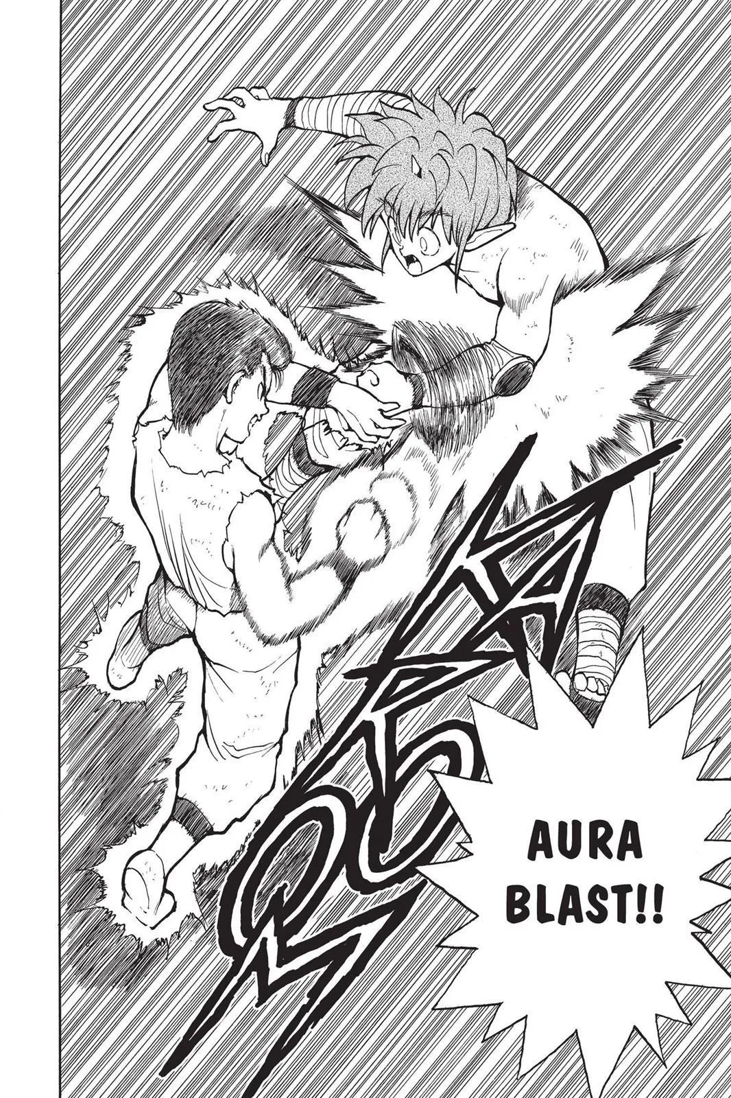Read Yu Yu Hakusho EN Manga Online