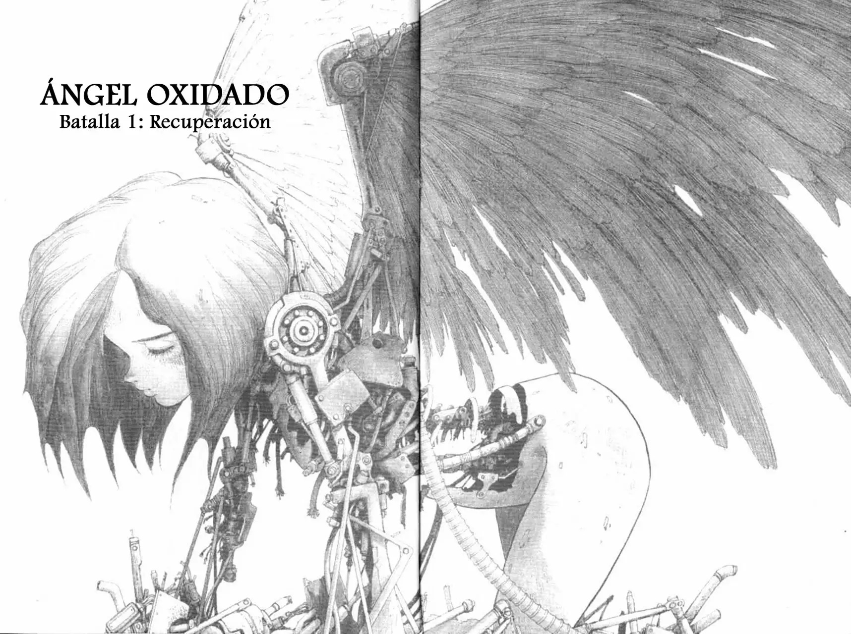 Read Battle Angel Alita es Manga Online