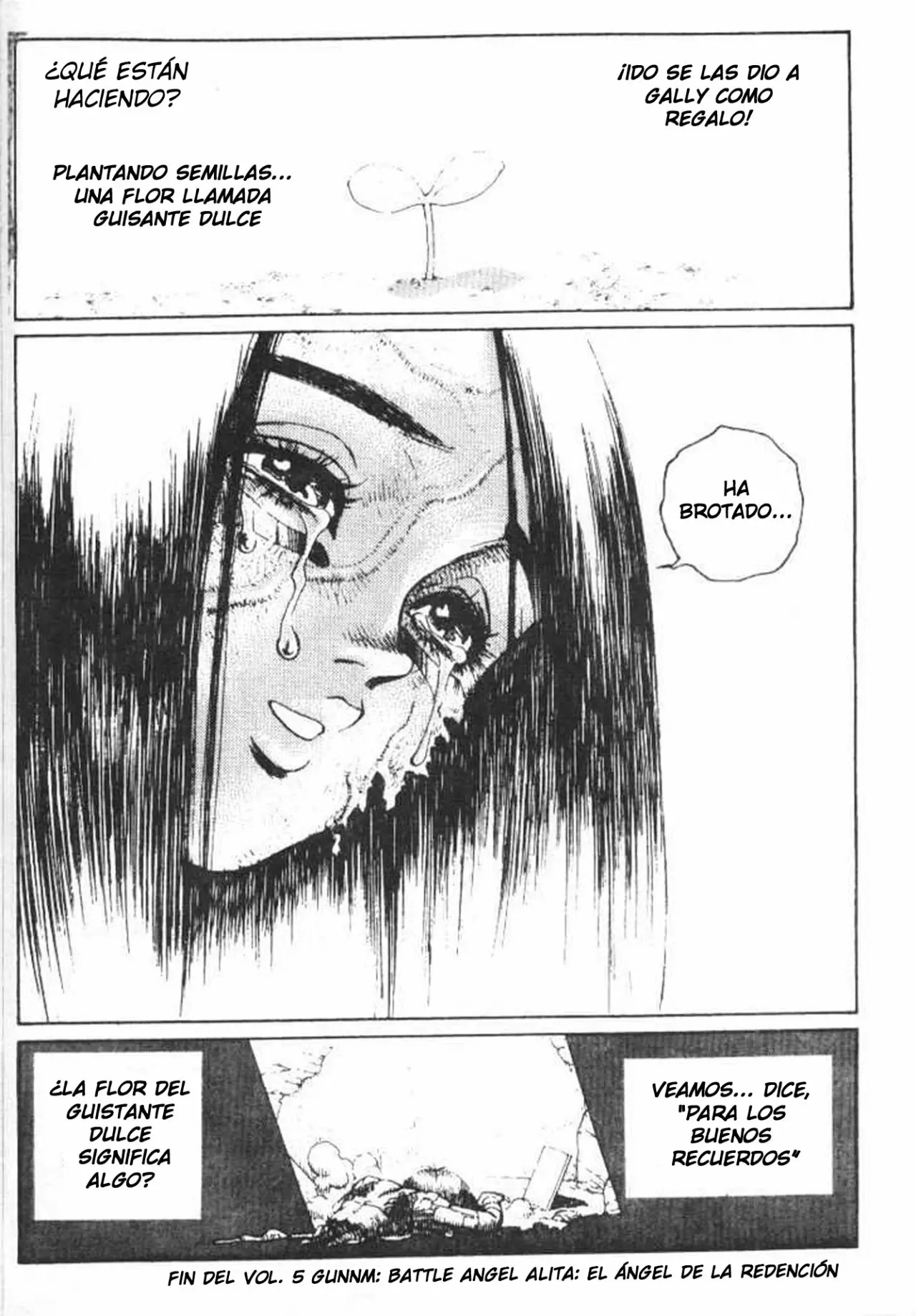 Read Battle Angel Alita es Manga Online