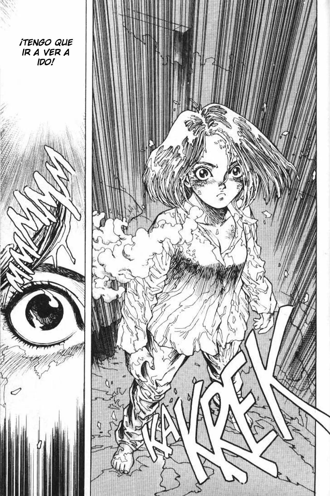 Read Battle Angel Alita es Manga Online