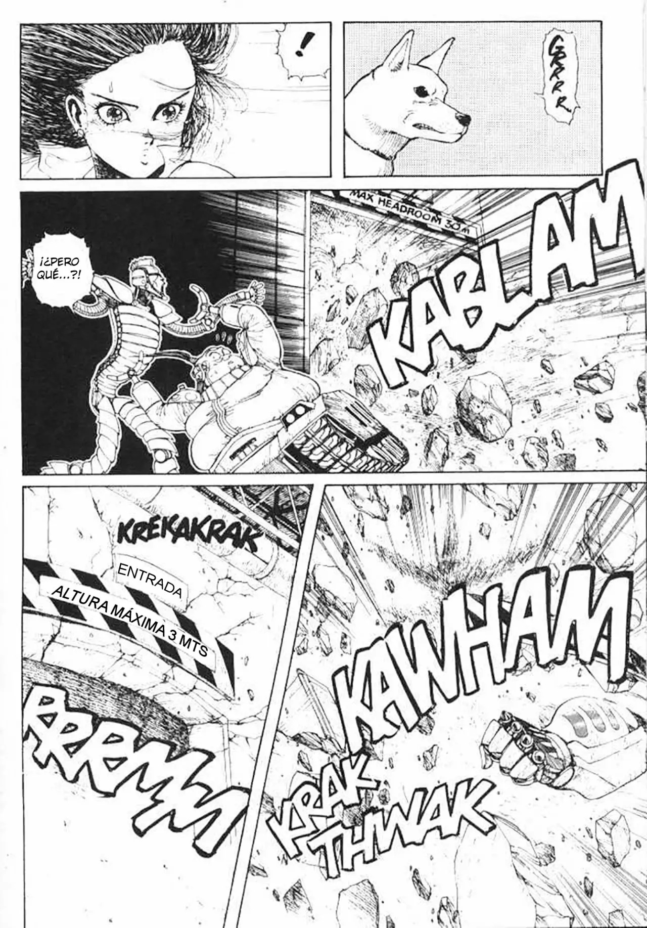 Read Battle Angel Alita es Manga Online