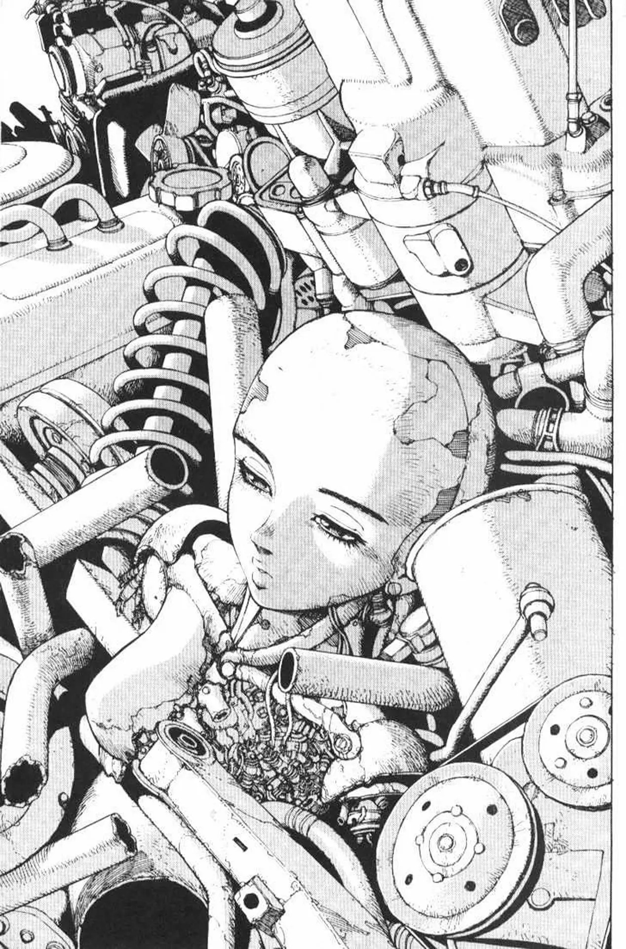 Read Battle Angel Alita es Manga Online