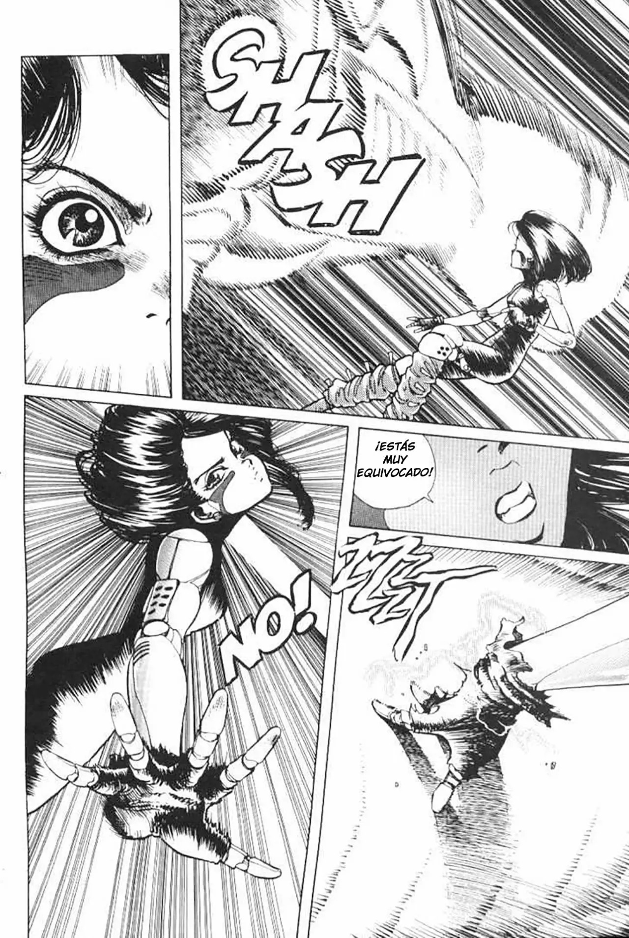 Read Battle Angel Alita es Manga Online