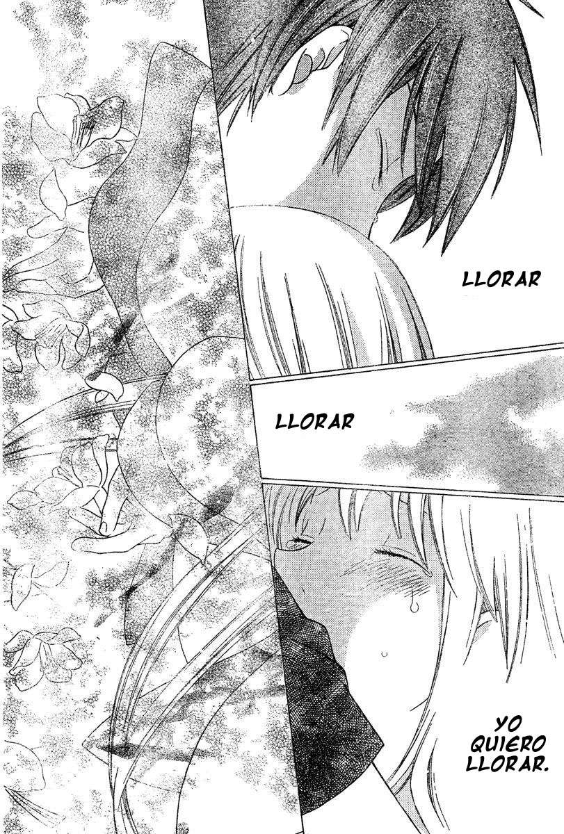 Read Fruits Basket ES Manga Online