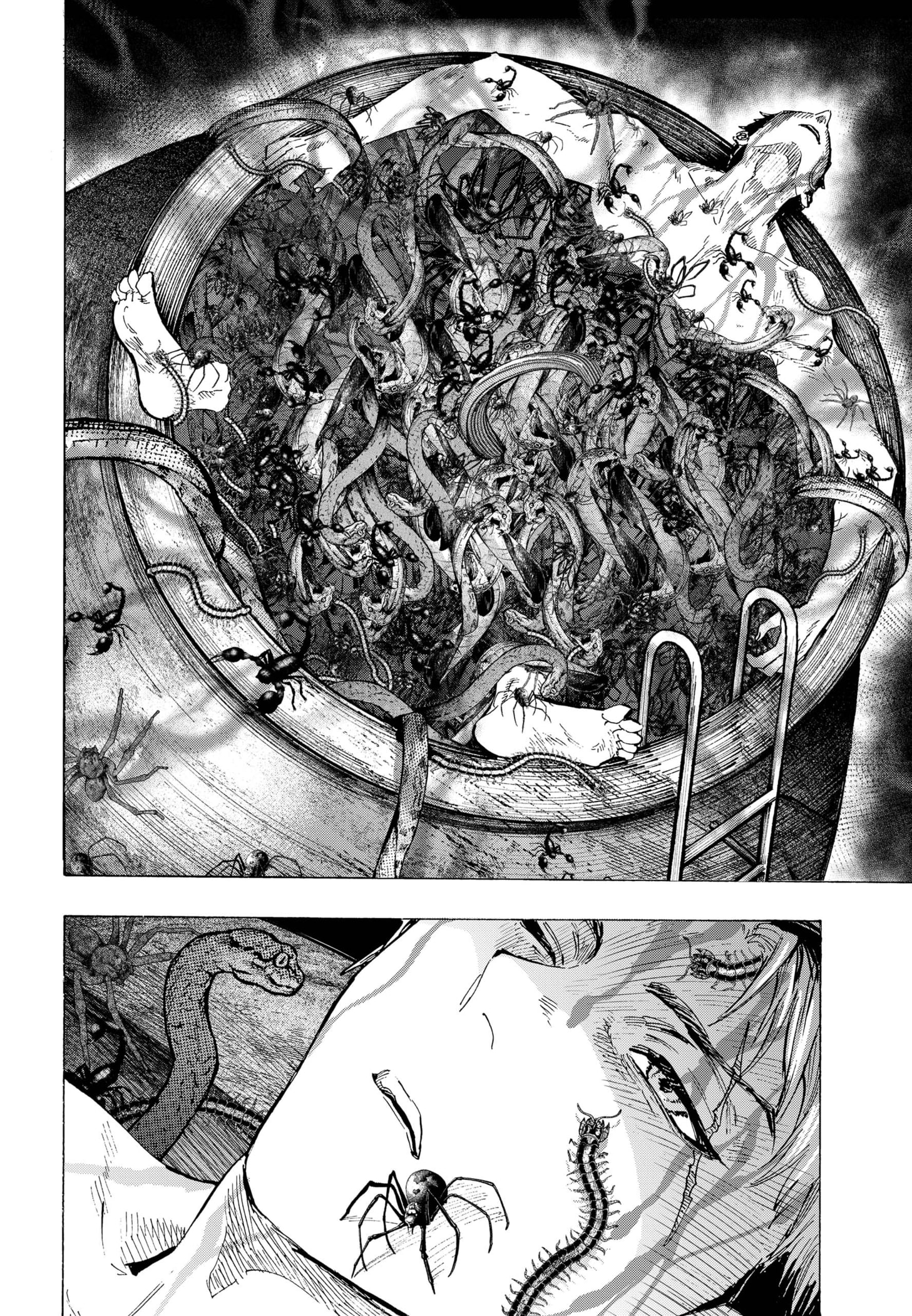 Read MARRIAGETOXIN ES Manga Online