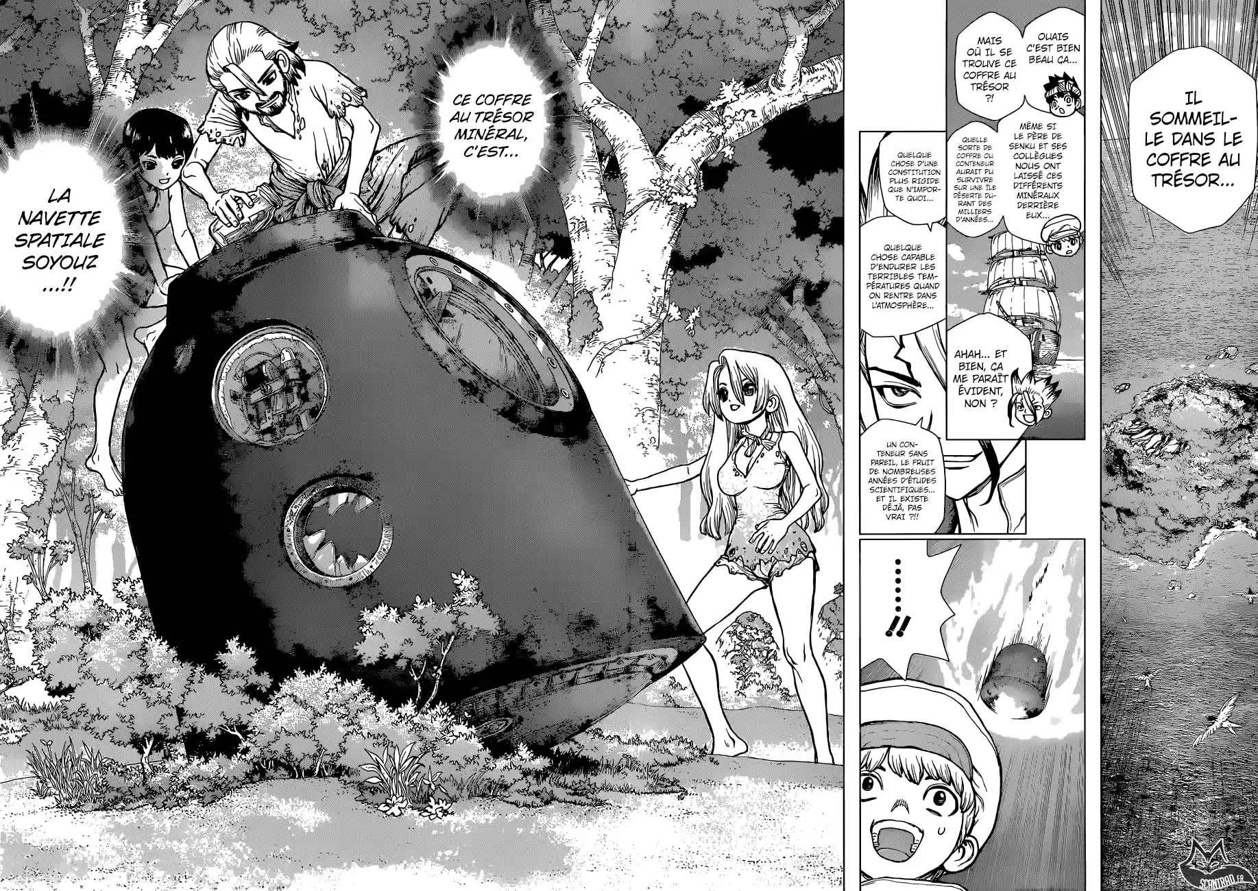 Read Dr. Stone FR Manga Online