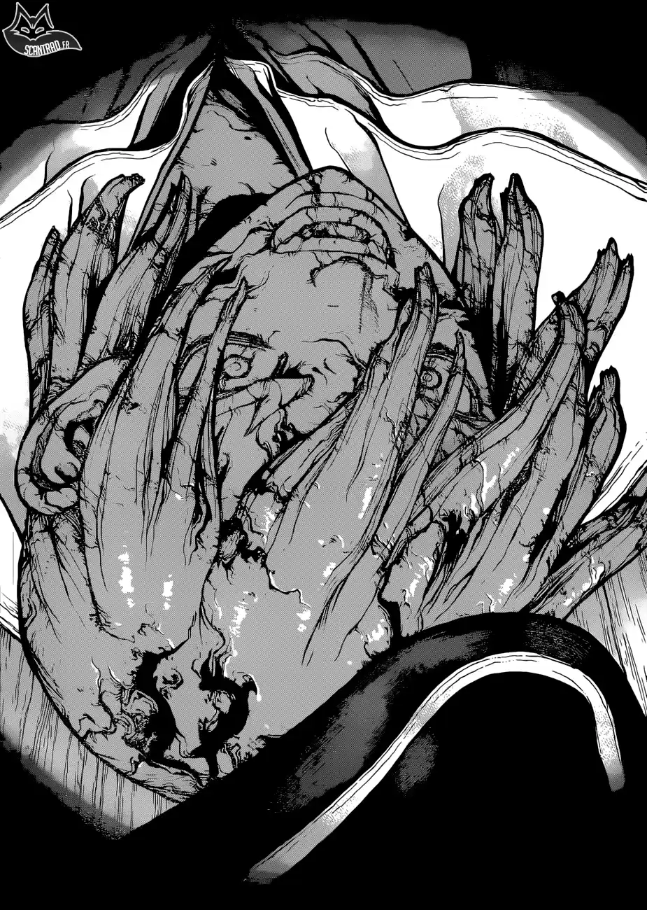 Read Dr. Stone FR Manga Online