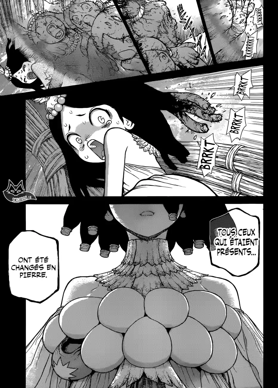 Read Dr. Stone FR Manga Online