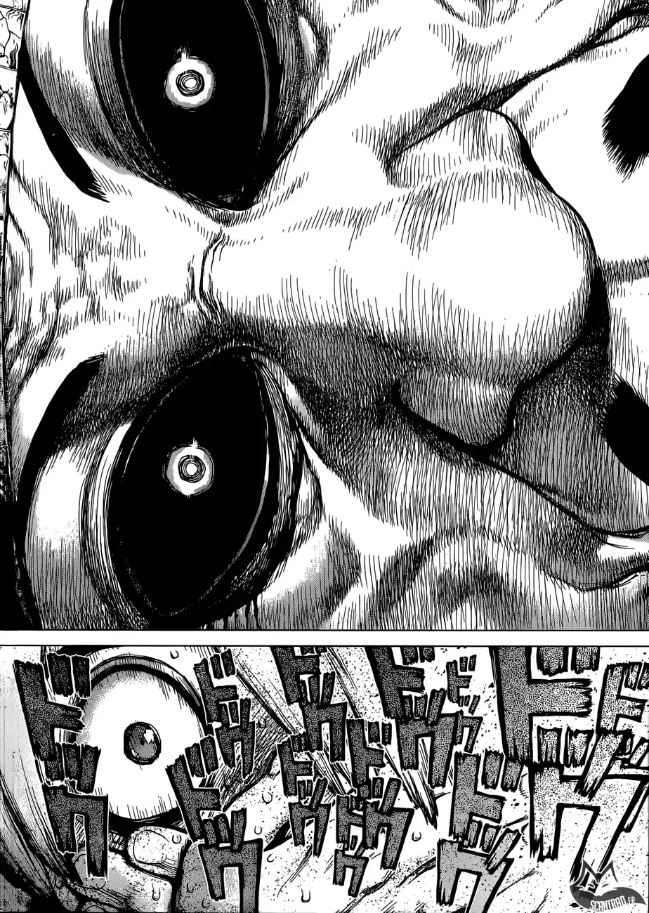 Read Dr. Stone FR Manga Online