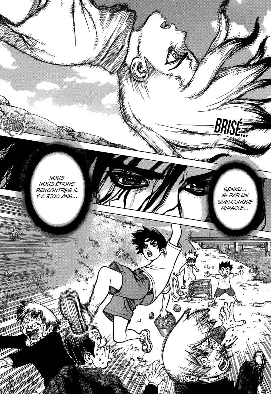 Read Dr. Stone FR Manga Online