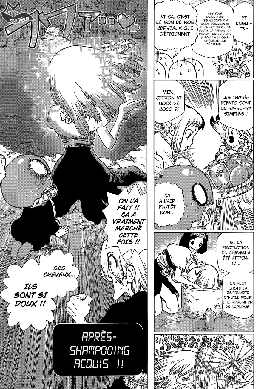 Read Dr. Stone FR Manga Online