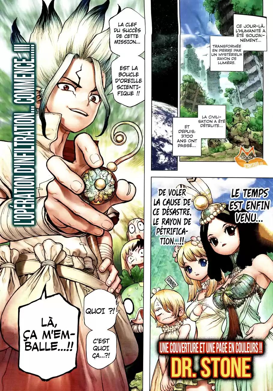 Read Dr. Stone FR Manga Online