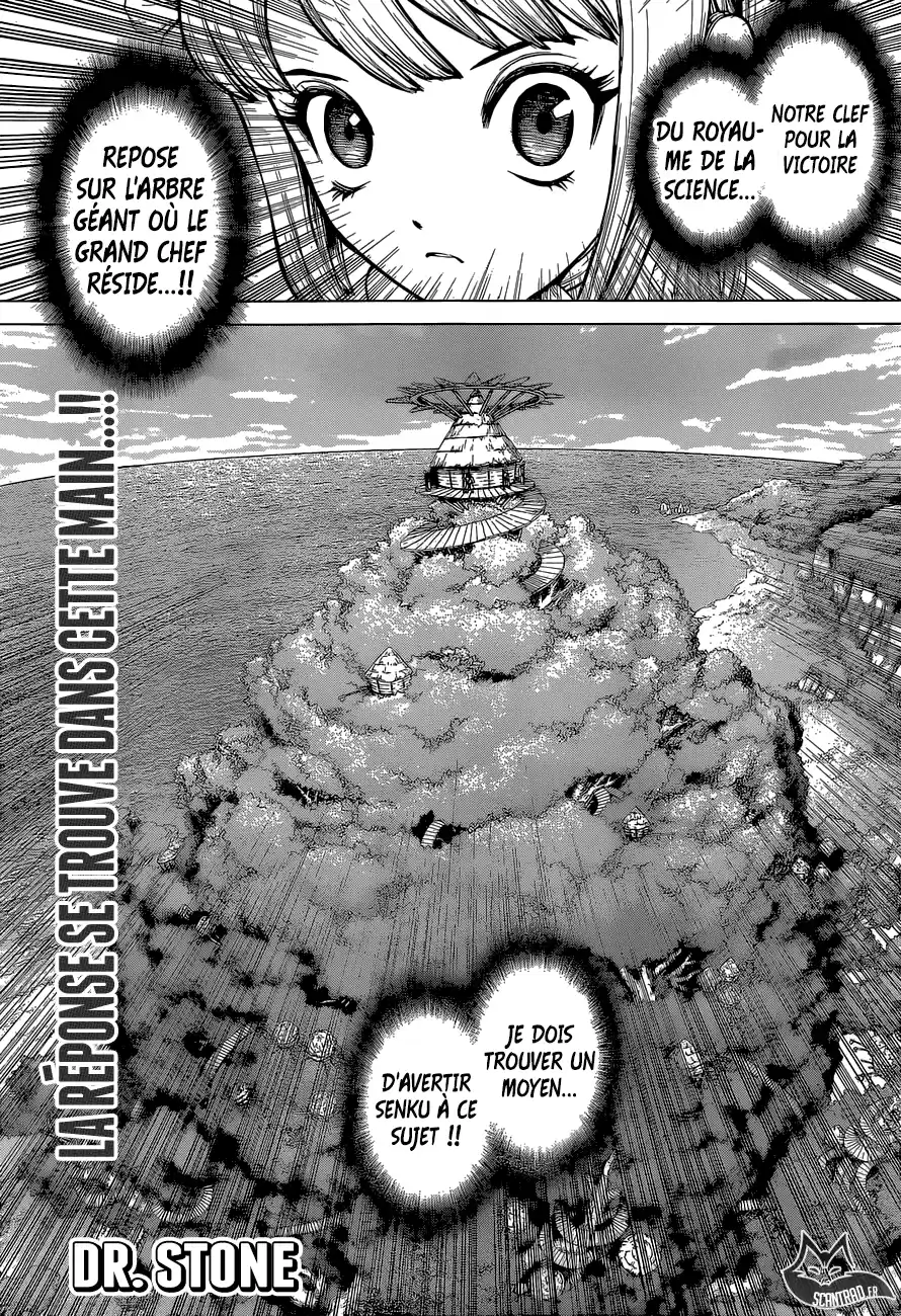 Read Dr. Stone FR Manga Online