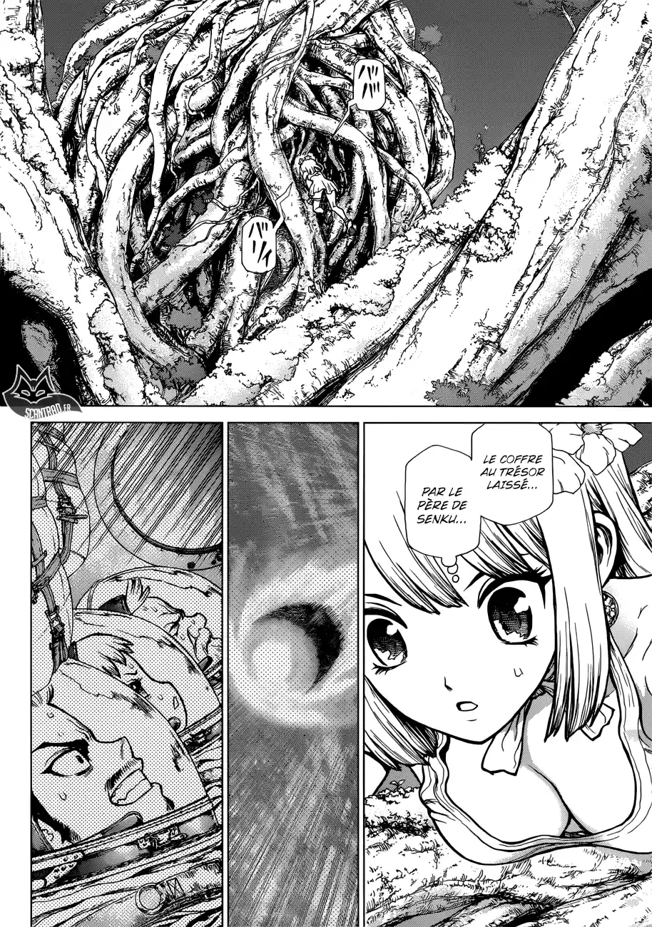 Read Dr. Stone FR Manga Online