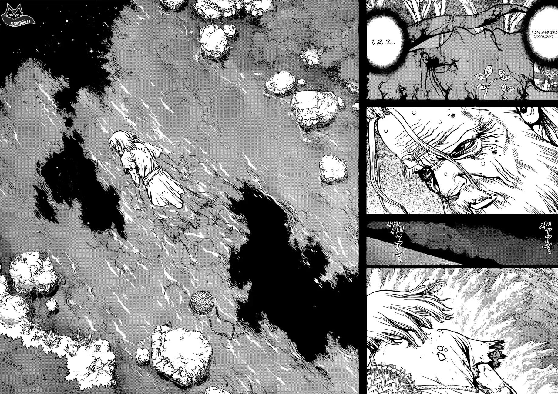 Read Dr. Stone FR Manga Online