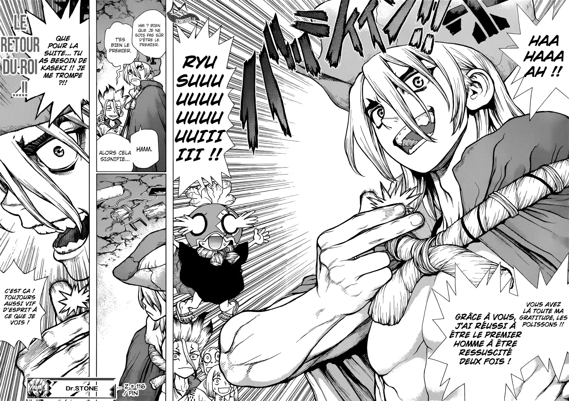 Read Dr. Stone FR Manga Online