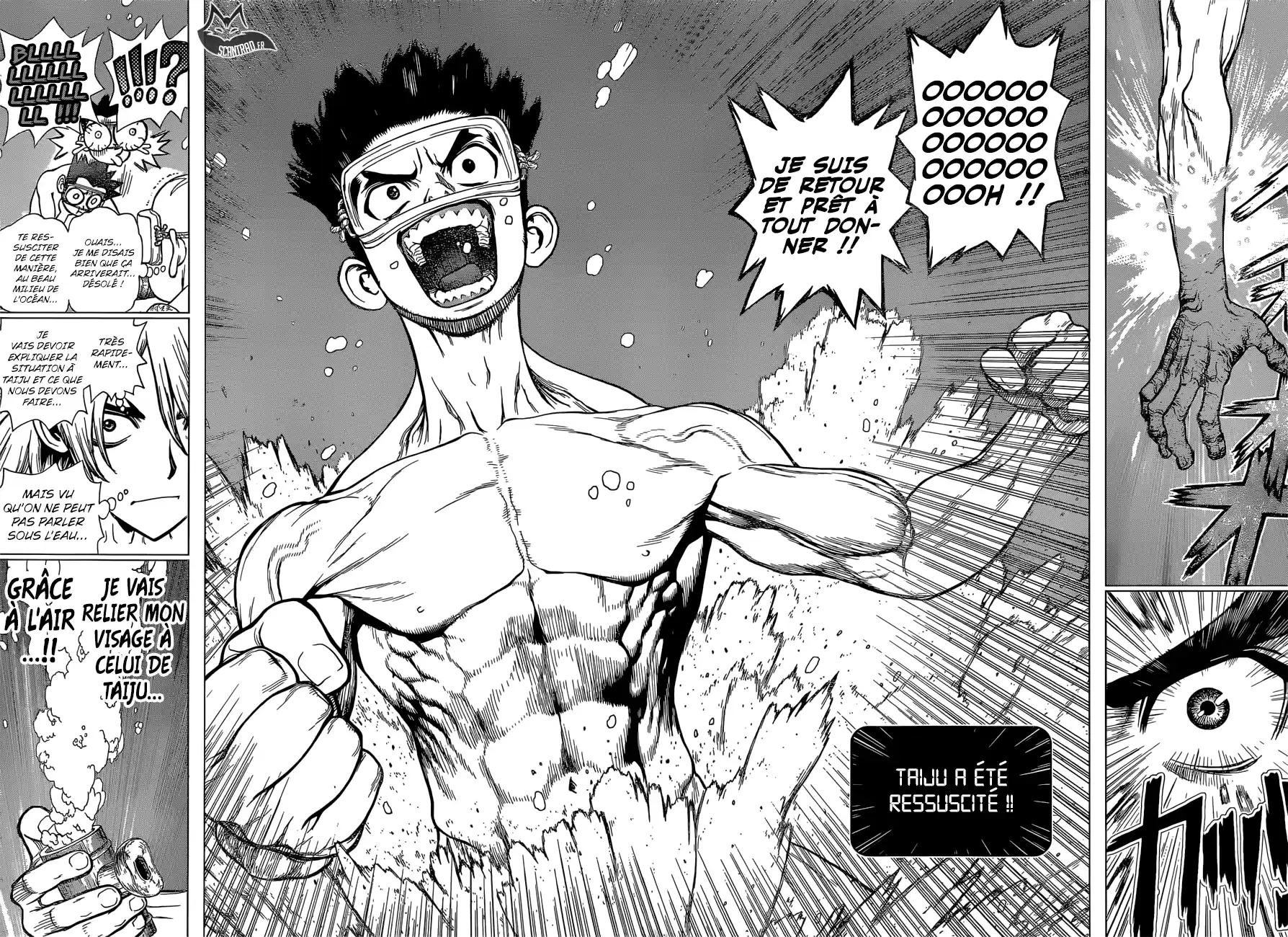 Read Dr. Stone FR Manga Online