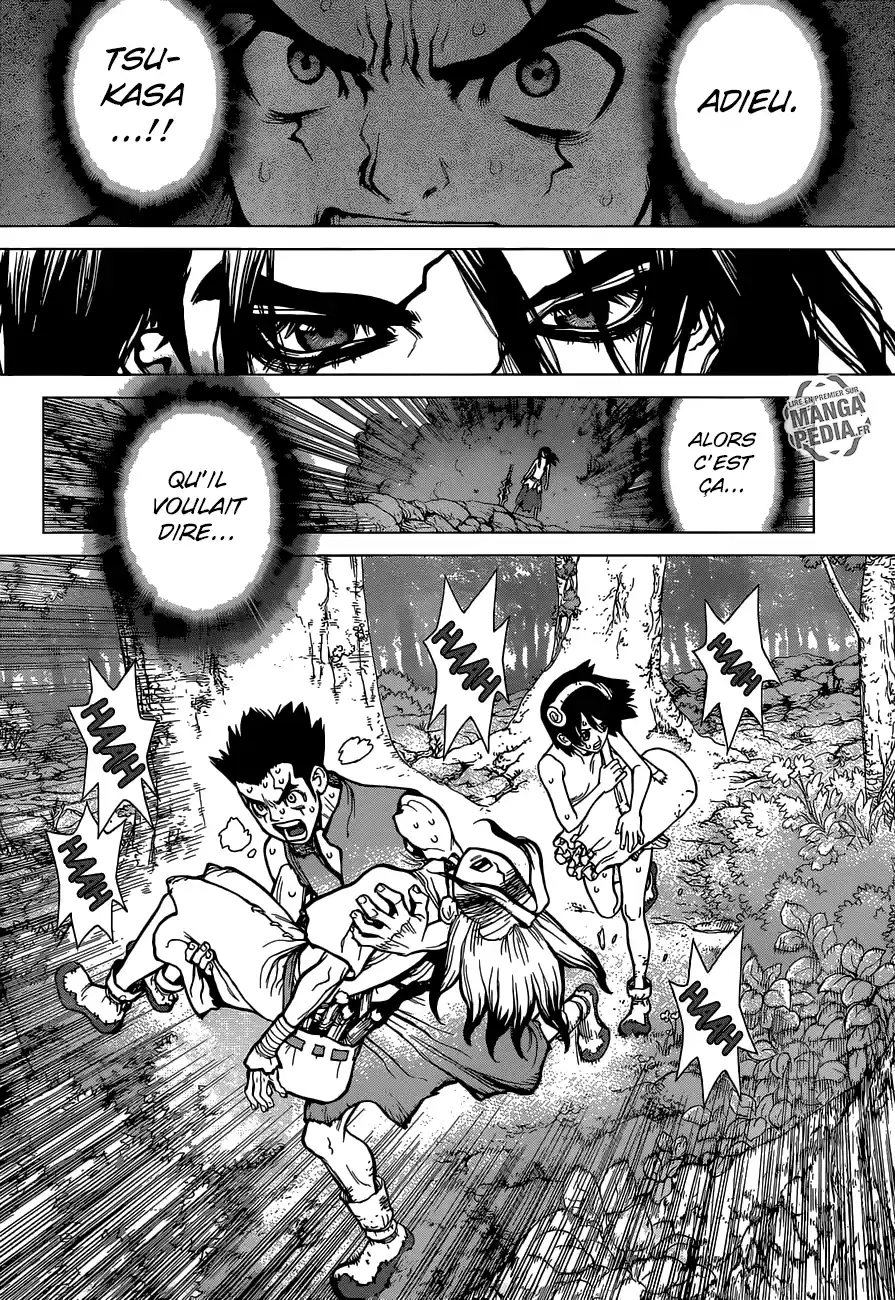Read Dr. Stone FR Manga Online