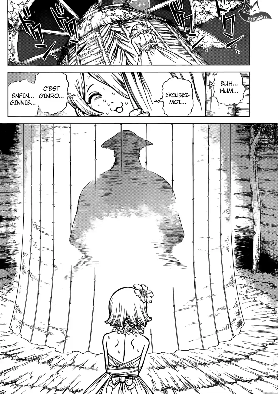 Read Dr. Stone FR Manga Online