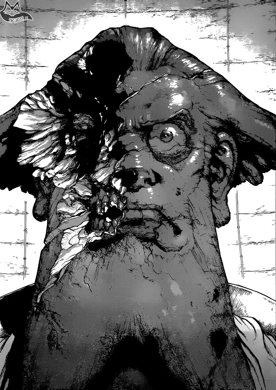 Read Dr. Stone FR Manga Online